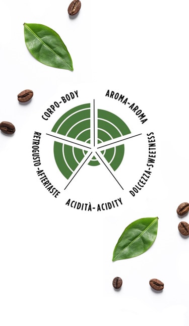 La Reserva de ¡Tierra! Brasile - Professional Blend Coffee