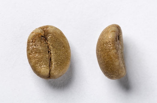 Robusta bean